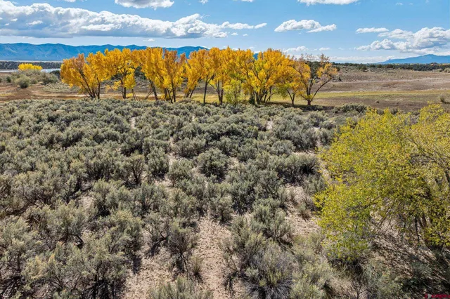a view of an ocean and beach