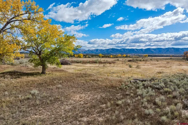 a view of an ocean beach