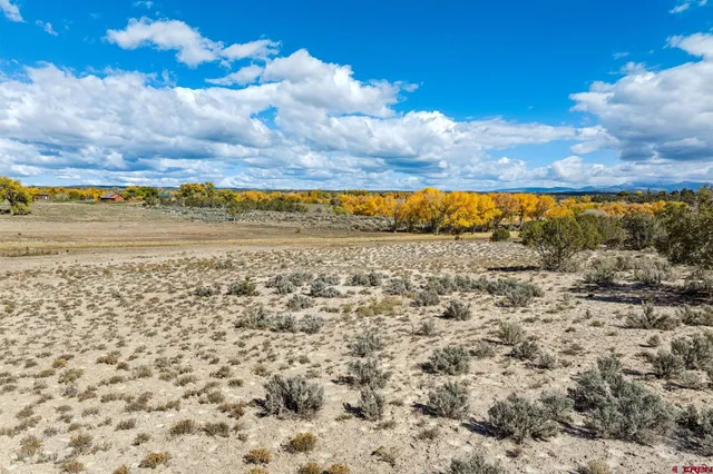 a view of an ocean and beach
