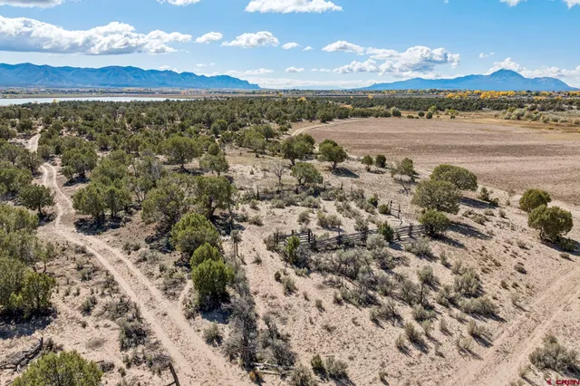 a view of a yard with an outdoor space