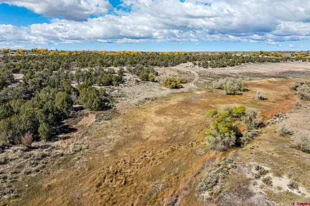 a view of a dry yard with wooden fence
