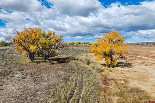 $4,000,000 | 29 Cortez Co 81321, Dolores, CO 81323