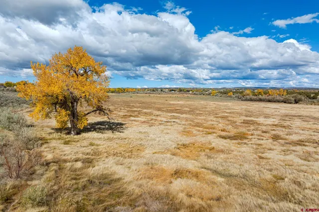 $4,000,000 | 29 Cortez Co 81321, Dolores, CO 81323