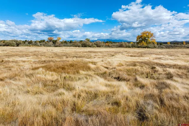 $4,000,000 | 29 Cortez Co 81321, Dolores, CO 81323