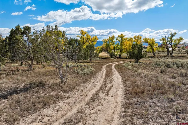 $4,000,000 | 29 Cortez Co 81321, Dolores, CO 81323