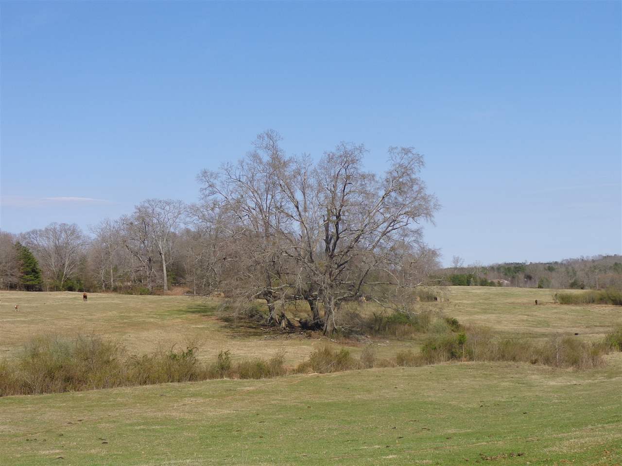 0 Poors Ford Road Rutherfordton, NC 28139 - Photo 3 of 8
