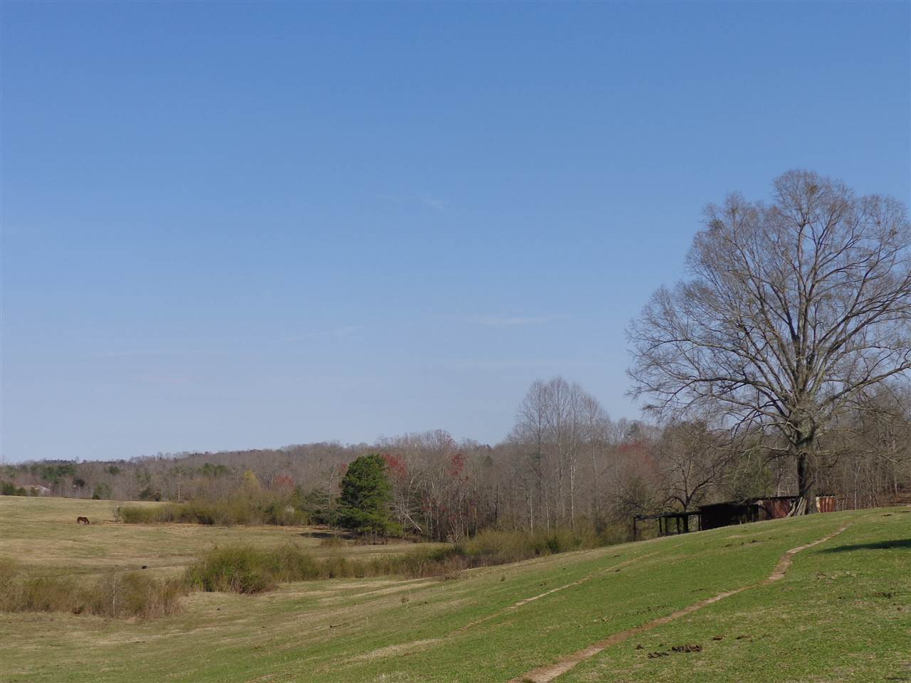 0 Poors Ford Road Rutherfordton, NC 28139 - Photo 7 of 8