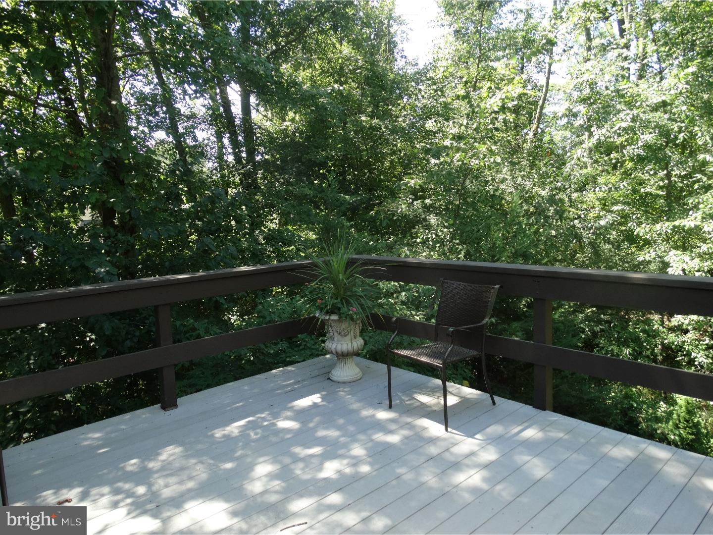 4 Hunters Run Spring House, PA 19002 - Photo 19 of 23 Deck
