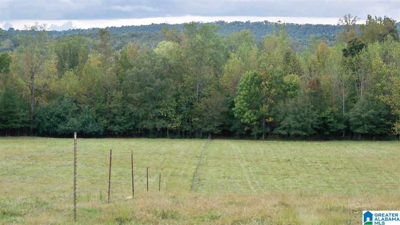 455 Bristow Creek Road Altoona, AL 35952 - Photo 14 of 21