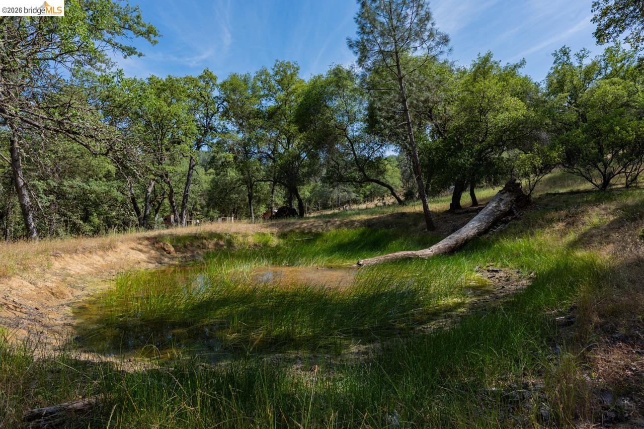 0 Pool Station Road Angels Camp, CA 95222 - Photo 3 of 28