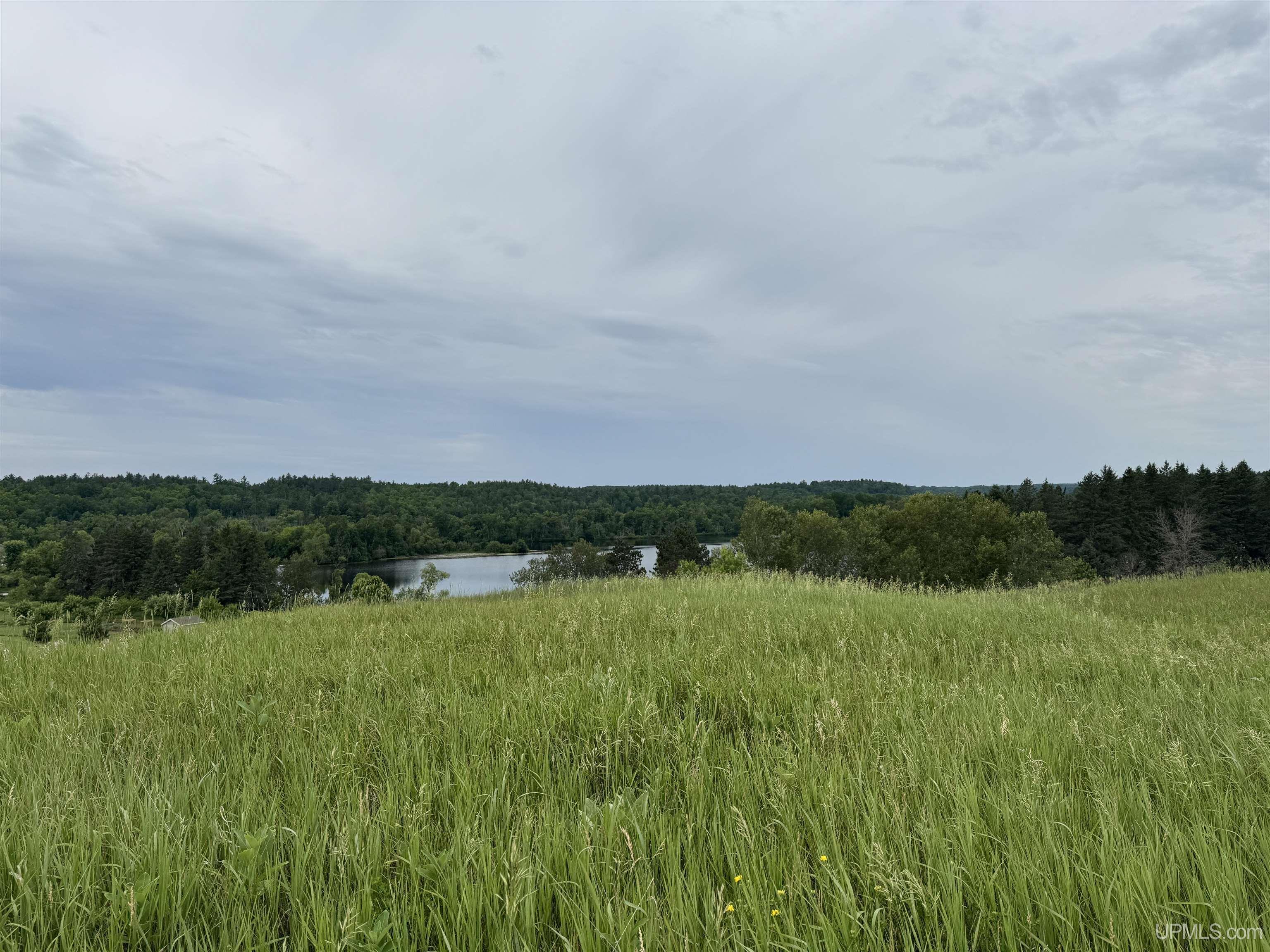 Tbd New York Lake Road Vulcan, MI 49892 - Photo 15 of 23