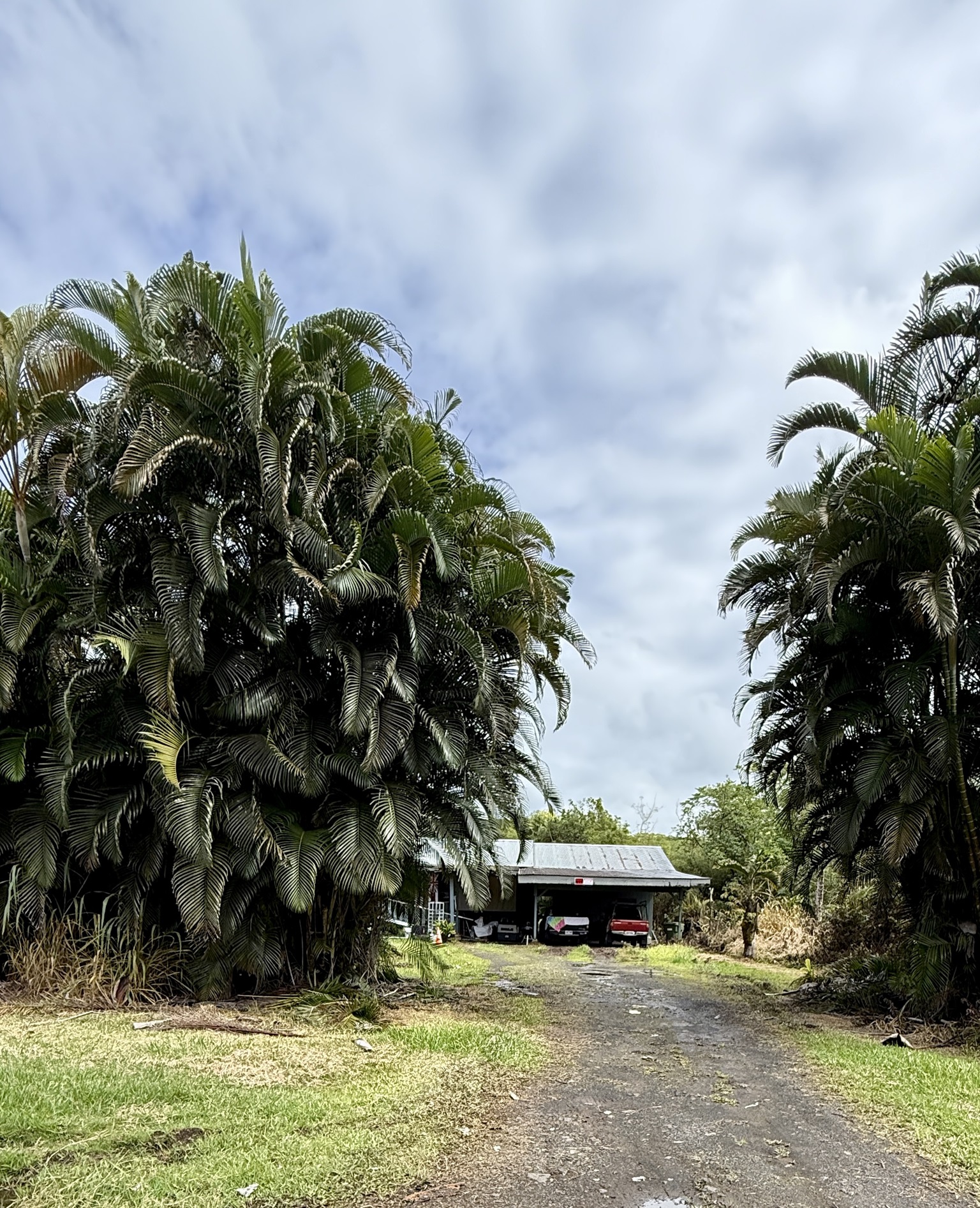 17-760 Volcano Road Kurtistown, HI 96760 - Photo 12 of 14
