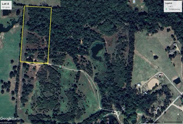 a bird view of house