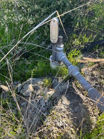a view of a backyard of the house