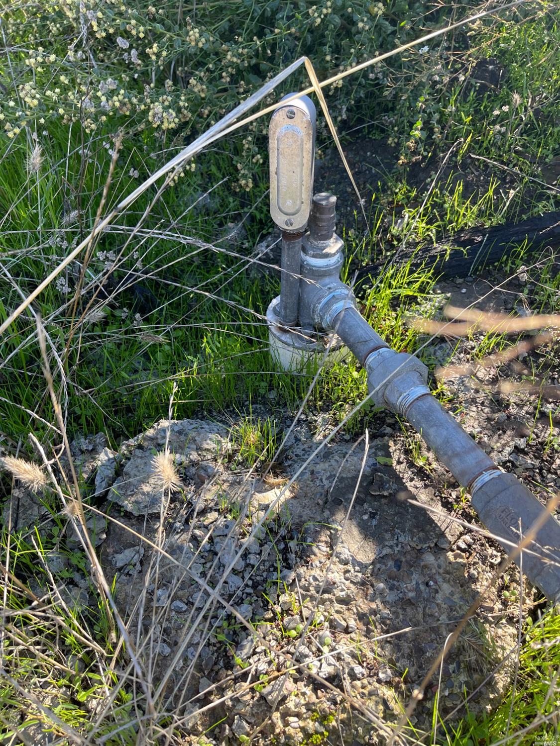 2000 Los Alamos Road Santa Rosa, CA 95409 - Photo 12 of 25 a backyard of a house with lots of green space