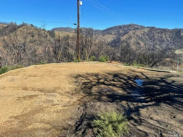 a view of a backyard that has plants and water view