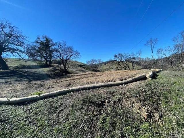 a view of a dry yard with trees