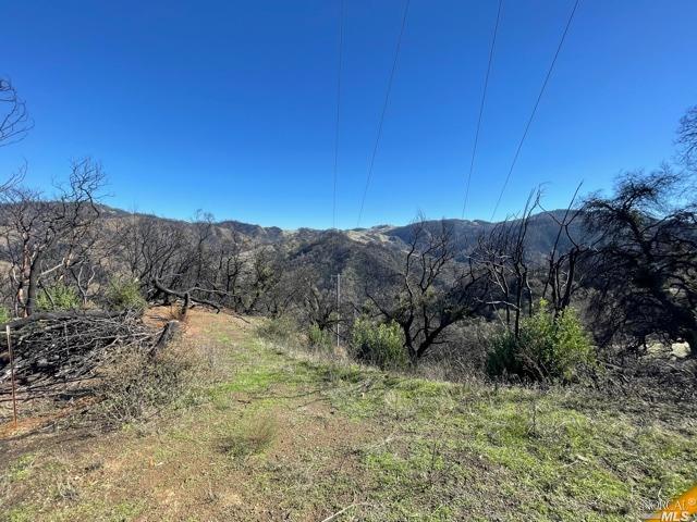 2000 Los Alamos Road Santa Rosa, CA 95409 - Photo 18 of 25 a view of a dry yard with trees