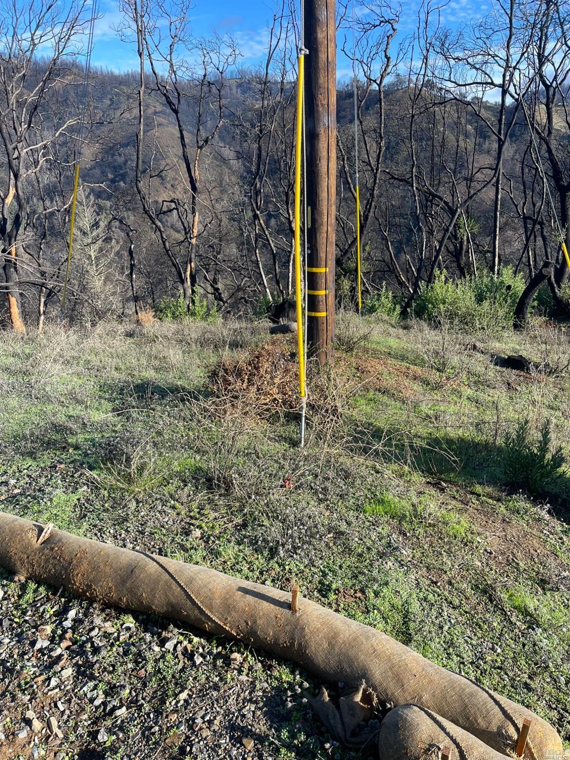 2000 Los Alamos Road Santa Rosa, CA 95409 - Photo 2 of 25 a view of a yard with plants and wooden fence