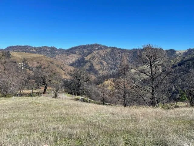 a view of a dry yard