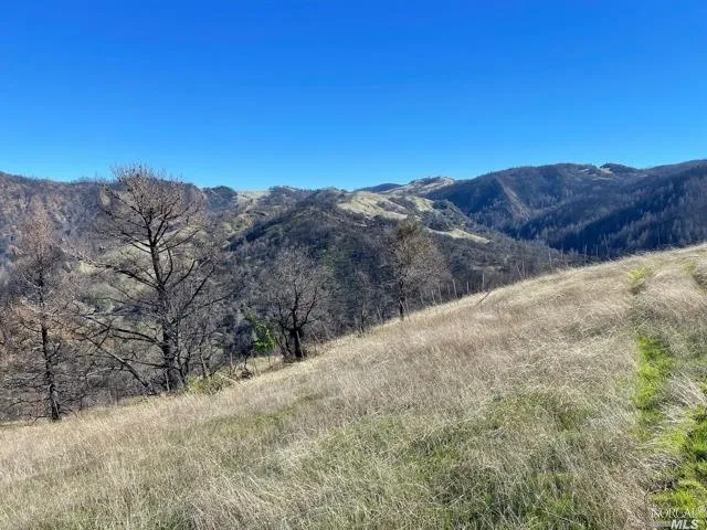 a view of a yard with mountains in the background