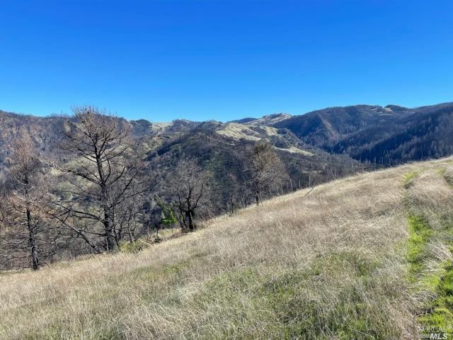 2000 Los Alamos Road Santa Rosa, CA 95409 - Photo 24 of 25 a view of a dry yard