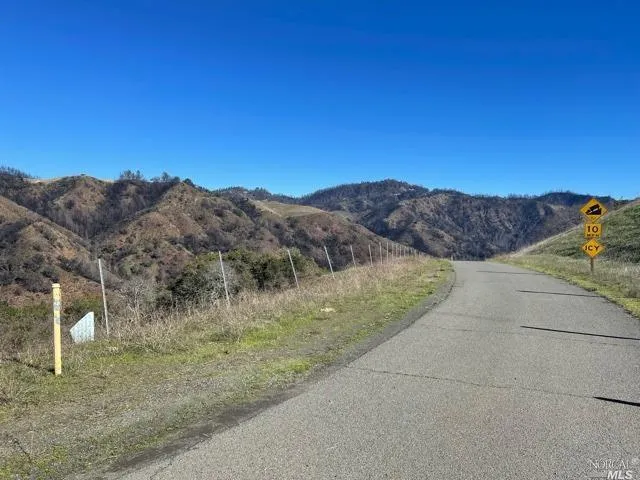 a view of a dry yard with a large tree