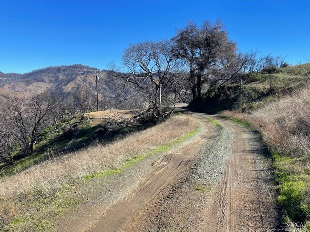 2000 Los Alamos Road Santa Rosa, CA 95409 - Photo 10 of 25 a view of a yard with trees