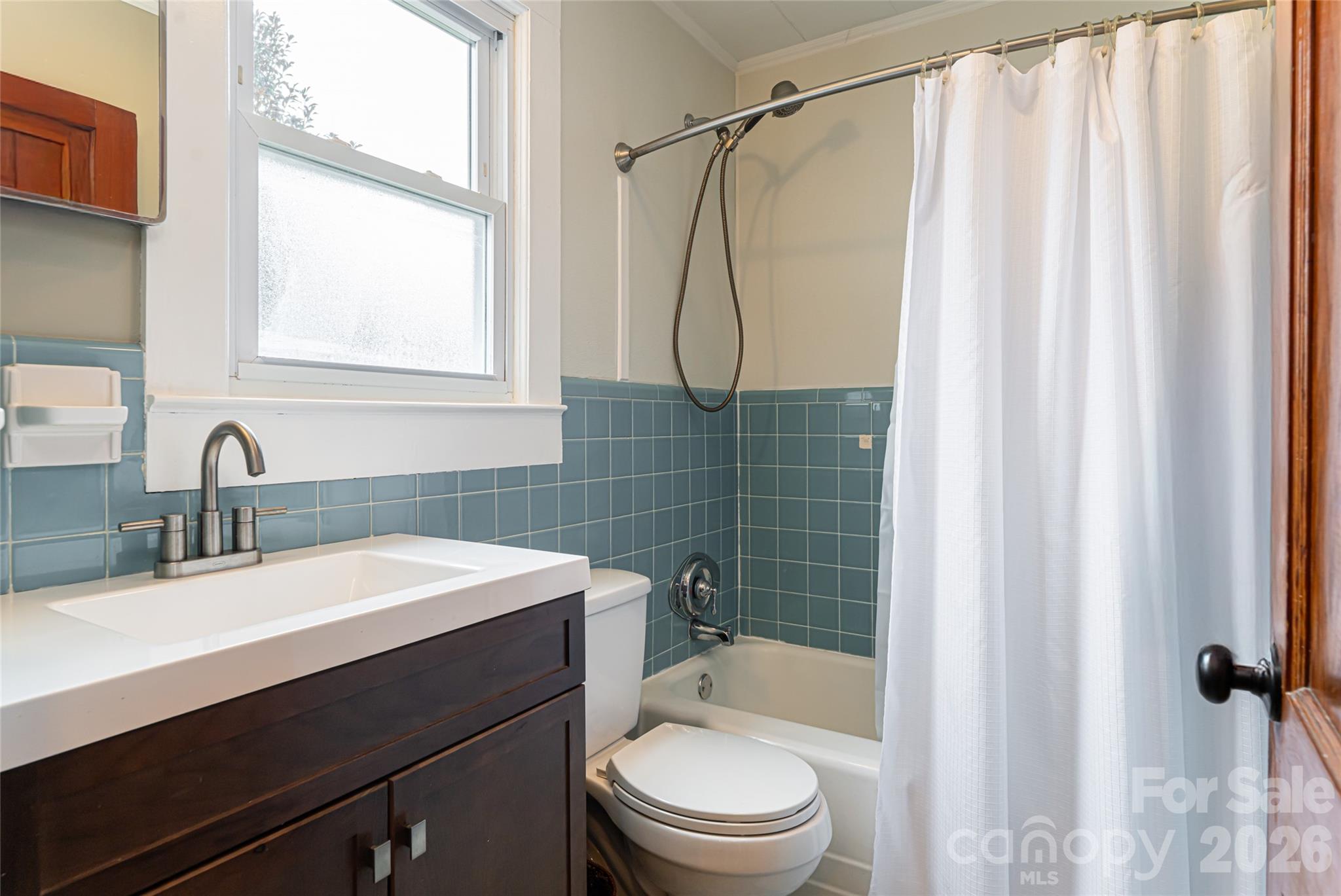 439 Big Bend Road Brevard, NC 28712 - Photo 20 of 47