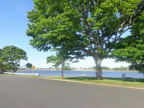a view of a road with a trees