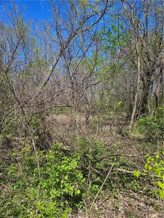 $195,000 | 1020 West Henry Street, Sedalia, MO 65301