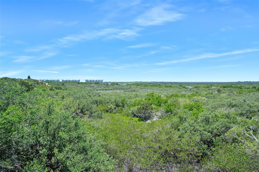 14 Marsh Court Ponce Inlet, FL 32127 - Photo 48 of 64