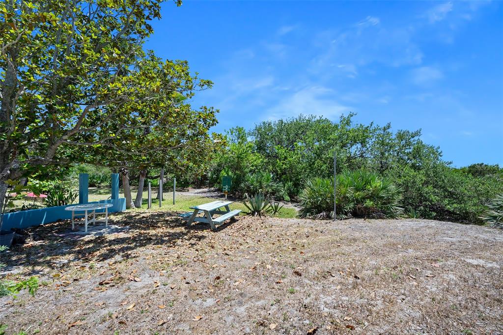 14 Marsh Court Ponce Inlet, FL 32127 - Photo 58 of 68 a view of backyard with green space