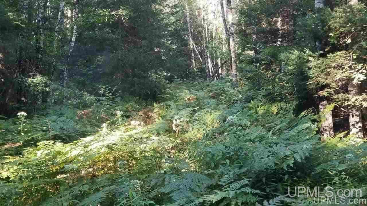 Tbd Fishing Site Road, Unit 1 Amasa, MI 49903 - Photo 8 of 19