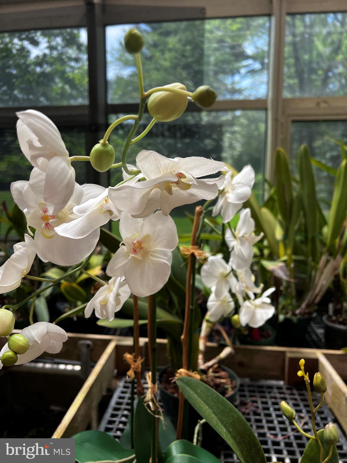 422 Waynesbrooke Road Berwyn, PA 19312 - Photo 41 of 42