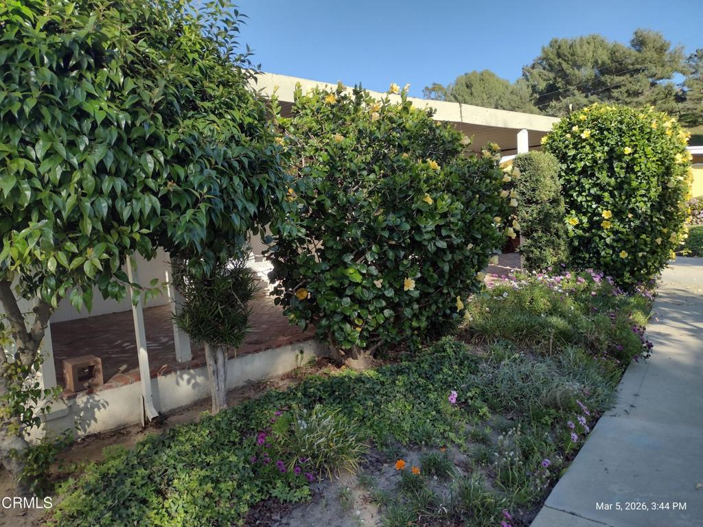 182 Rancho Adolfo Drive, Unit 83 Camarillo, CA 93012 - Photo 28 of 49 IMG_20260305_154440432_HDR