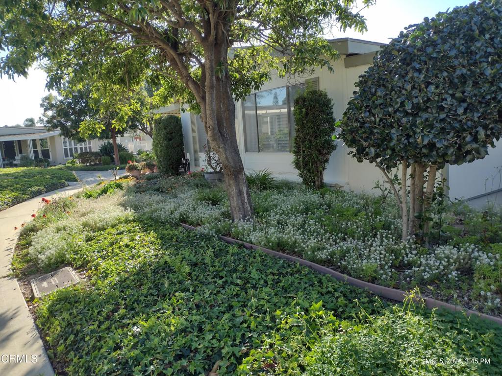 182 Rancho Adolfo Drive, Unit 83 Camarillo, CA 93012 - Photo 30 of 49 IMG_20260305_154543631_HDR