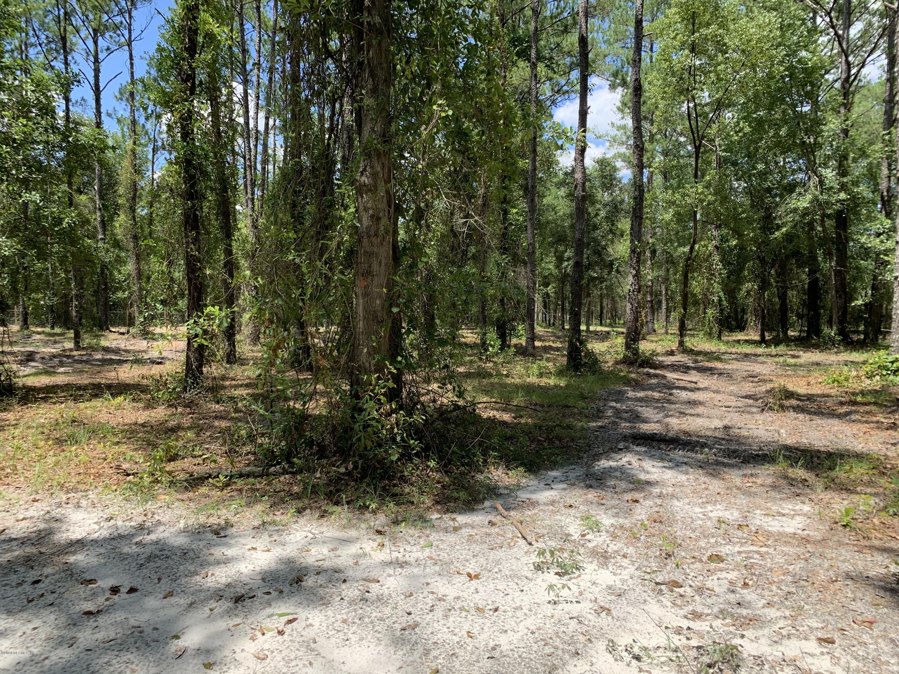 1743 Big Branch Road Middleburg, FL 32068 - Photo 33 of 36 IMG_5301