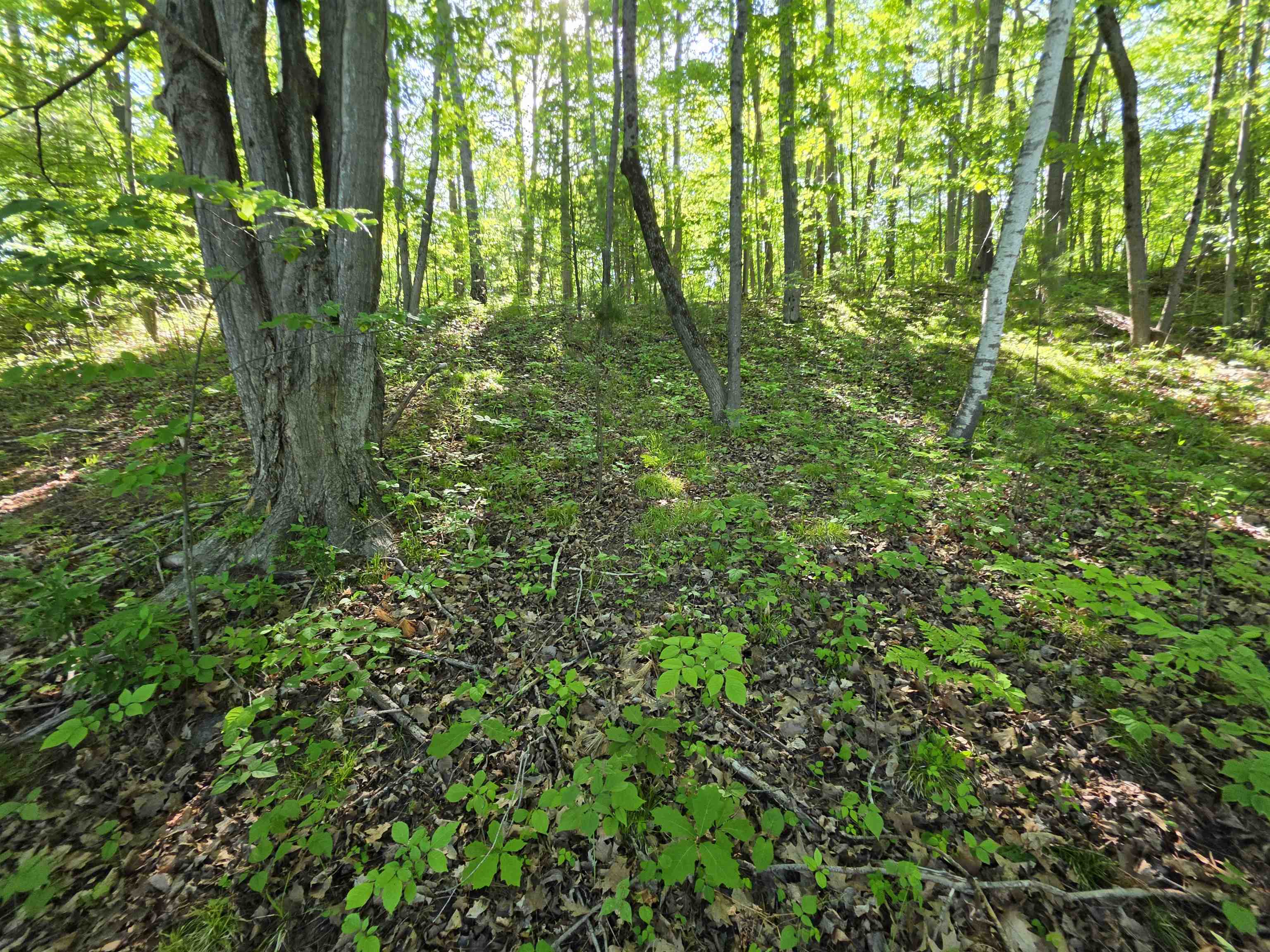 Tbd North Lakeshore Road Gladwin, MI 48624 - Photo 16 of 33