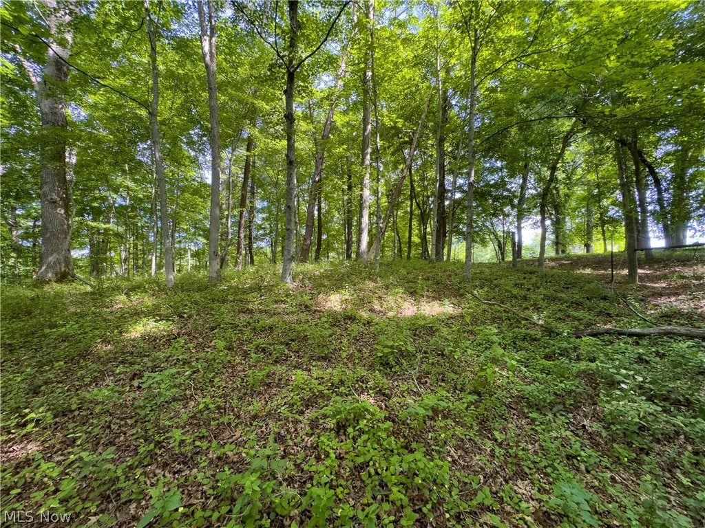 5 Jake Road Patriot, OH 45658 - Photo 14 of 17
