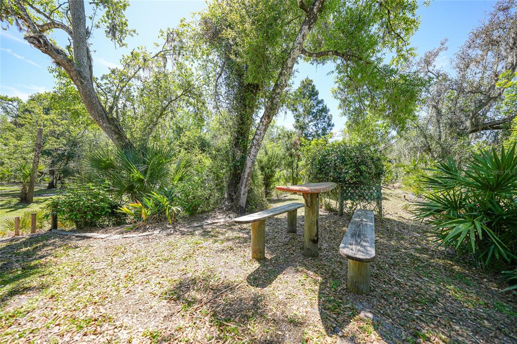 5722 Northeast Tram Line Road Arcadia, FL 34266 - Photo 28 of 74