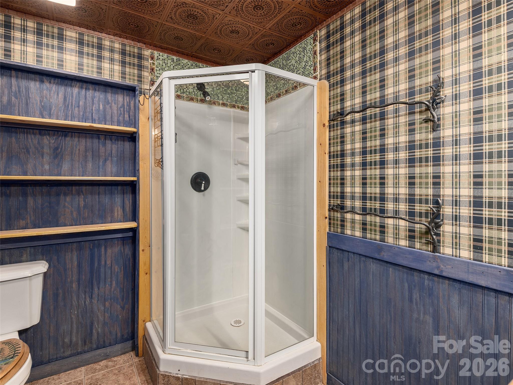 413 Green Hills Road Mill Spring, NC 28756 - Photo 38 of 48 a bathroom with a shower