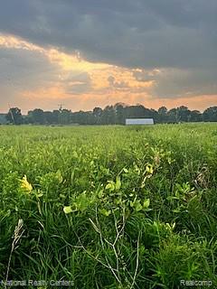 0 Vogt Road Fowlerville, MI 48836 - Photo 4 of 8