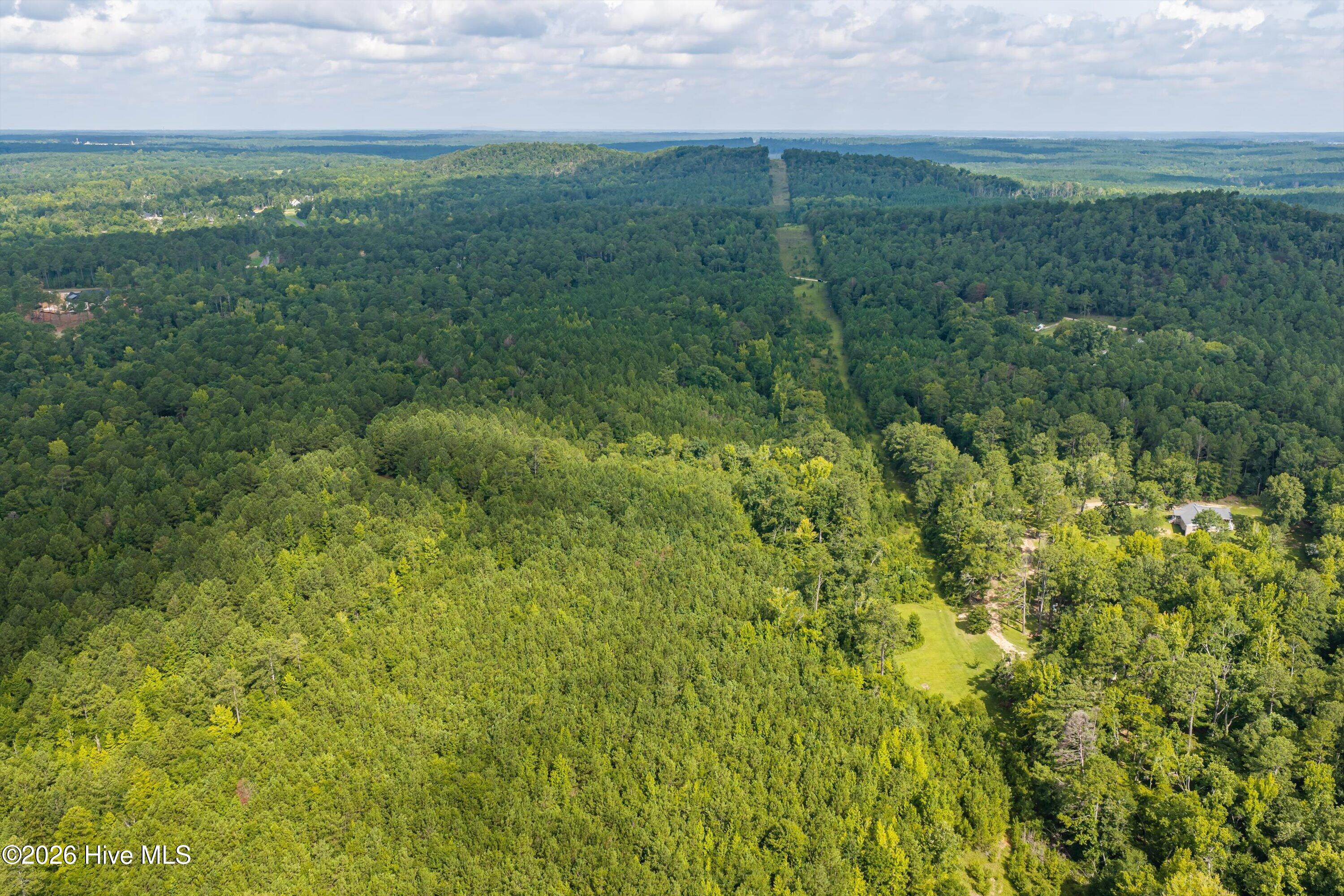 0 Burks Mountain Road Appling, GA 30802 - Photo 15 of 23 Gallery Image 15