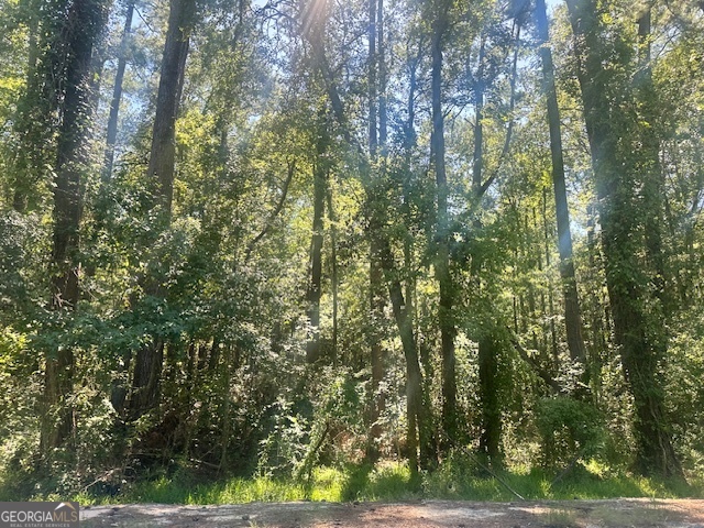 0 Del - A - Rae Circle Guyton, GA 31312 - Photo 3 of 5 a view of a yard with a tree