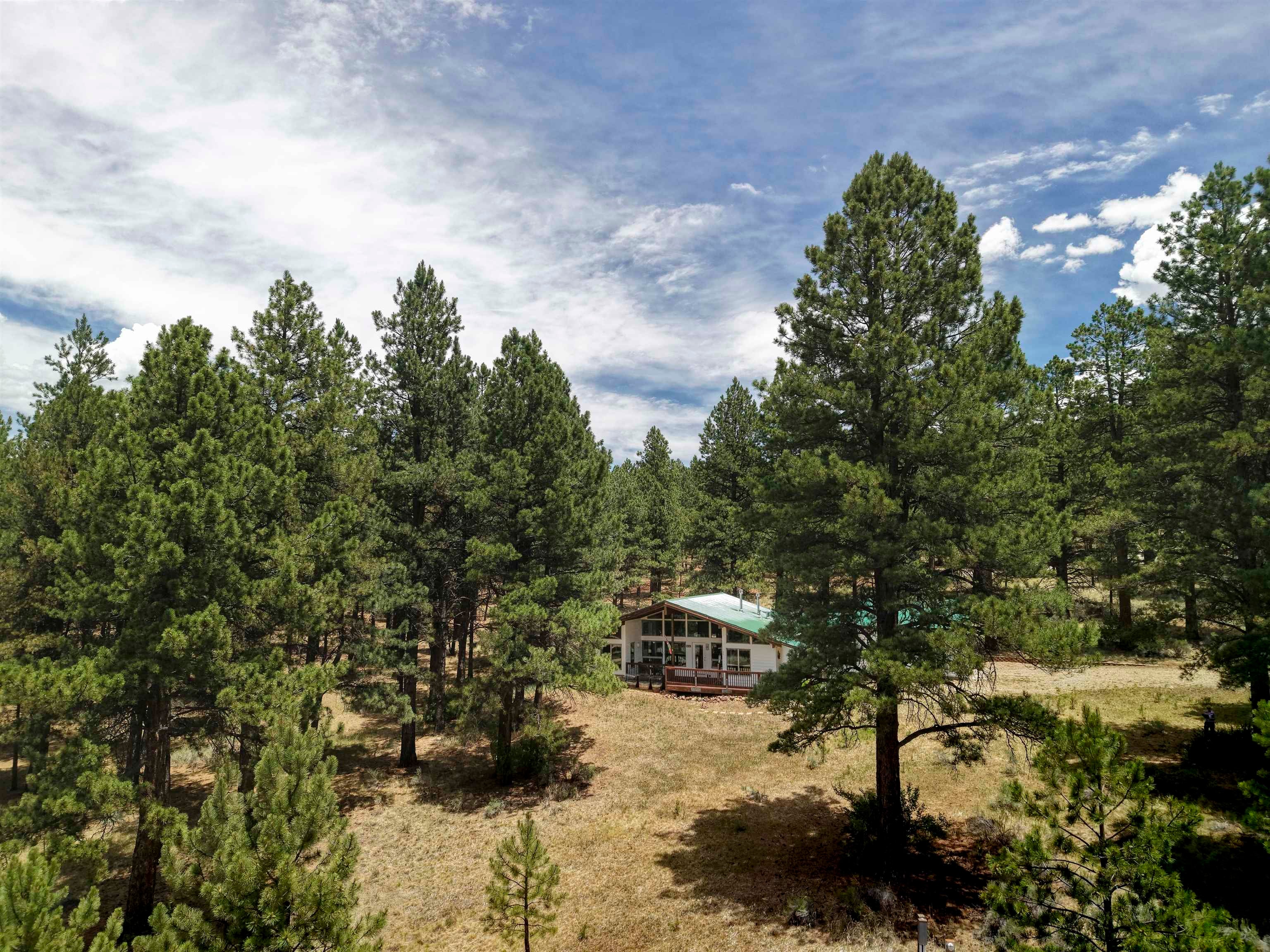 59 Alta Road Angel Fire, NM 87710 - Photo 45 of 45 Gallery Image 45