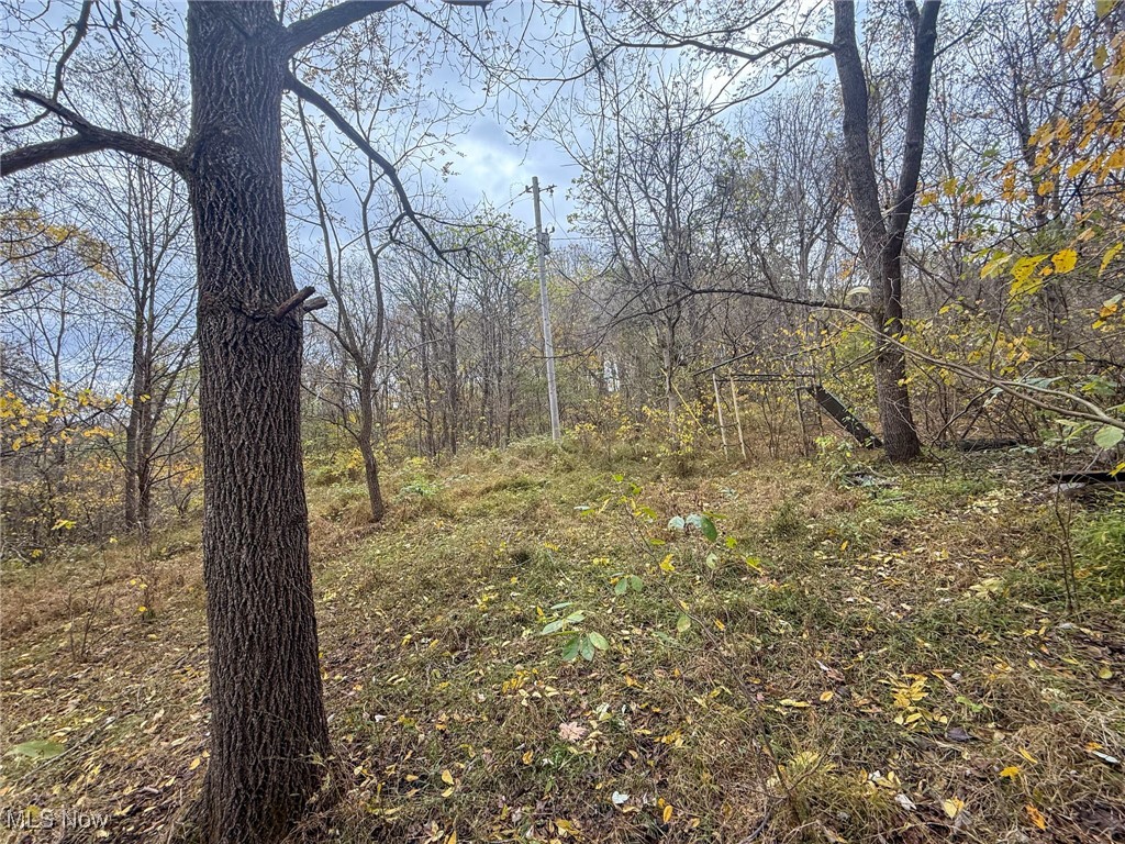 Wood Road Albany, OH 45710 - Photo 7 of 24 View of wooded area