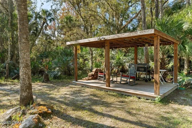 a view of a tree in a yard