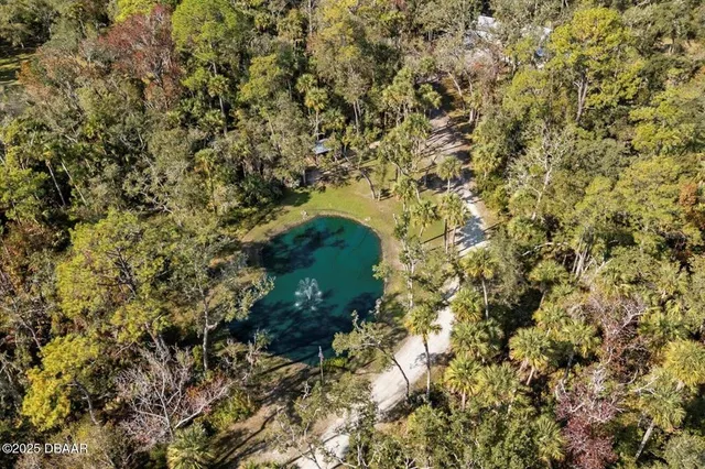 a view of a yard with plants