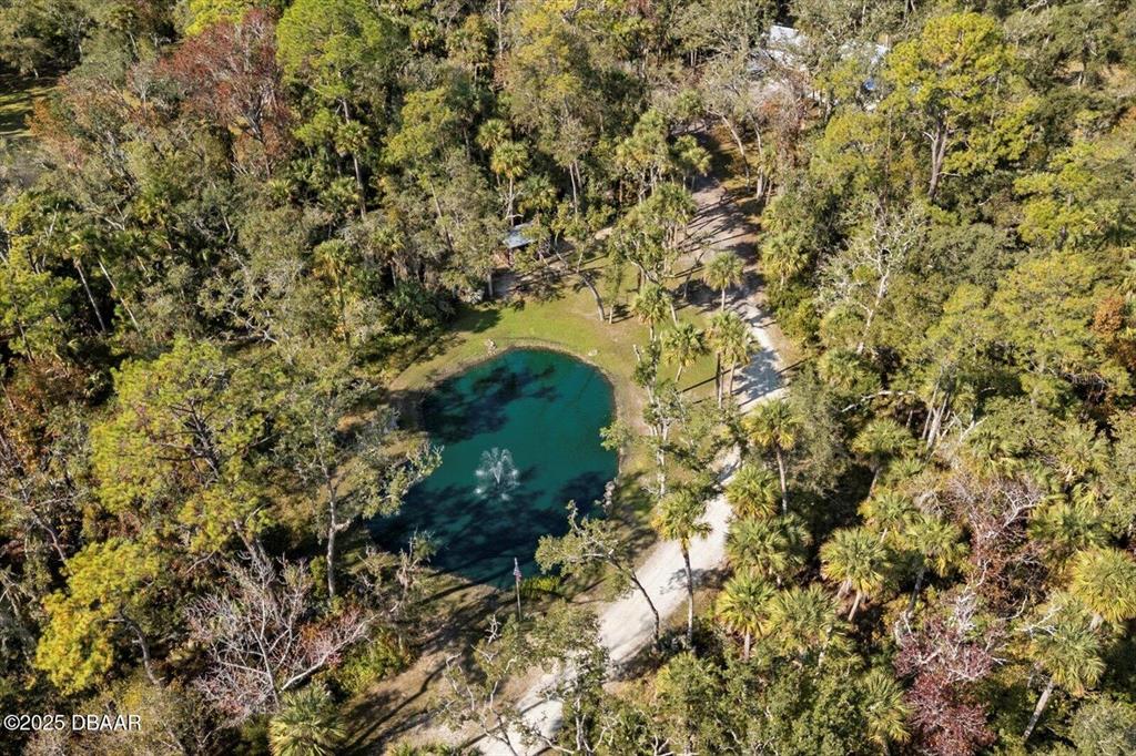 2995 Ragis Road Edgewater, FL 32132 - Photo 33 of 37